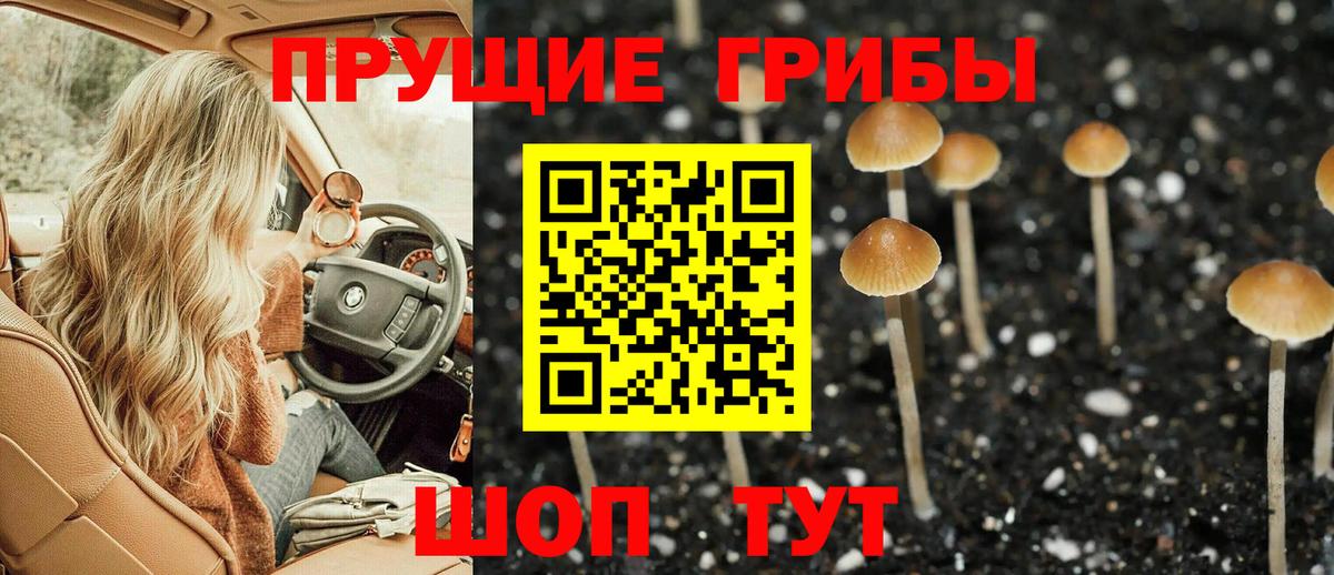 Куйбышев  даркнет сайт  Галлюциногенные грибы MAGIC MUSHROOMS  Вход с VPN  Псилоцибиновые грибы прущие грибы 